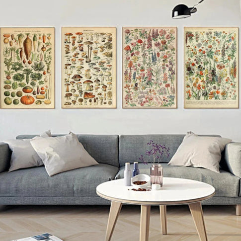 Affiche botanique vintage salon