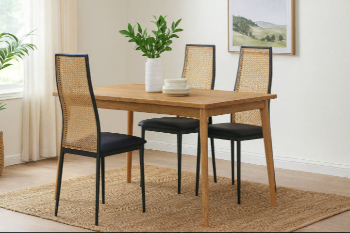 Chaise vintage noir rotin plante