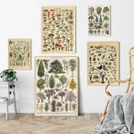 Affiche botanique vintage - Vignette | StyleVintage™ 