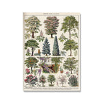 Affiche botanique vintage - Vignette | StyleVintage™ 