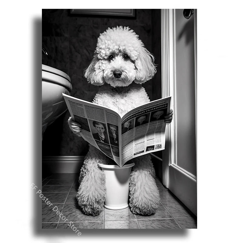 Affiche wc vintage caniche
