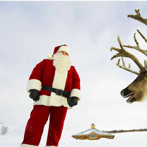Costume père noël vintage gants 