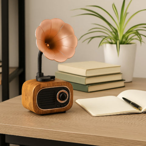 Radio année 40 plante