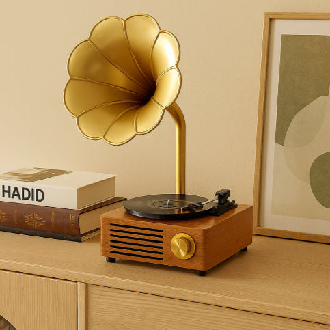 Tourne disque année 40 déco